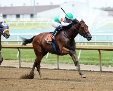 Lightly raced Zinhal takes shot at W.Va. Derby